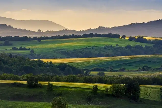 ENEA, risorse per l'agricoltura a partire dai residui produttivi del biogas