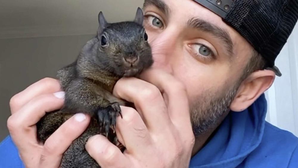 Peanut the Squirrel’s owners are suing the state of New York for $10 million