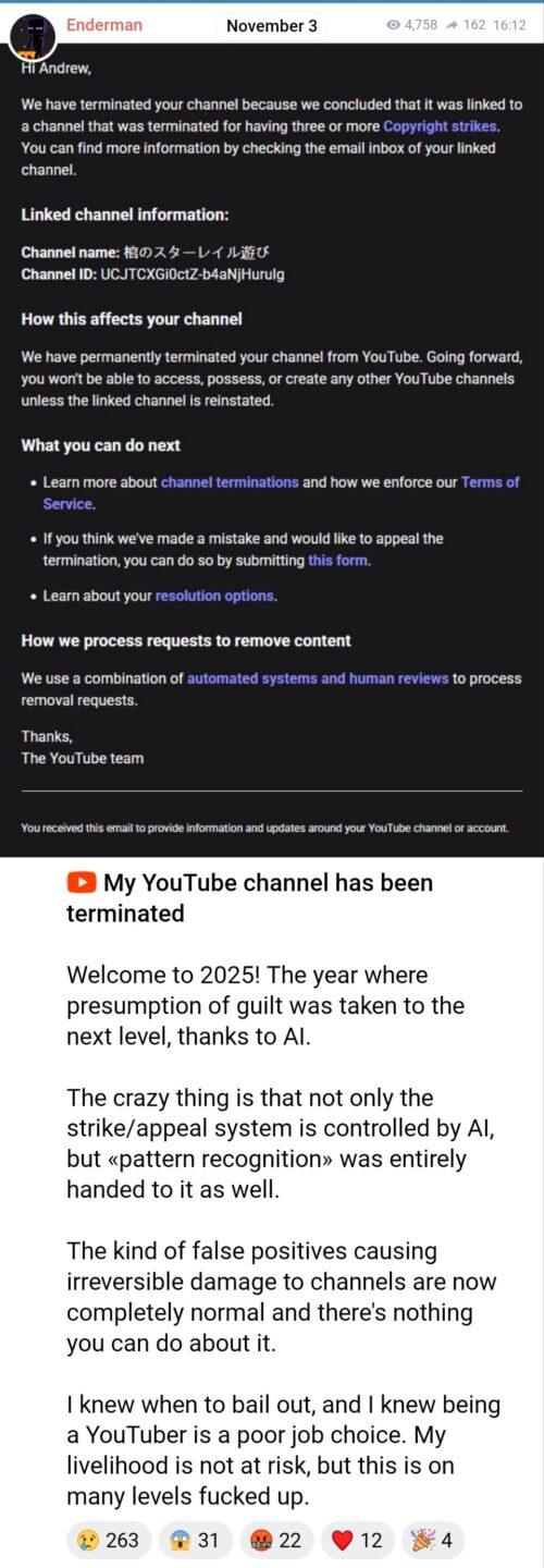 youtubica stronzata porta gli innocenti alla fucilazione (YouTube ha bannato senza motivo il canale di Enderman)