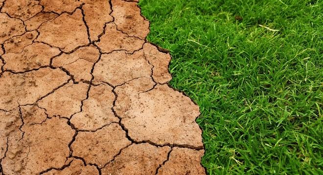 LG avrà un laboratorio per testare la climatizzazione per ambienti tropicali