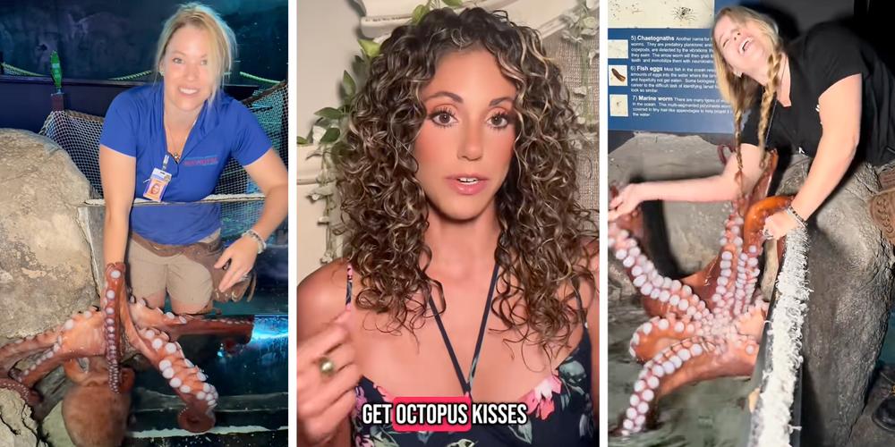 “Way too smart for touch tanks”: San Antonio aquarium lets visitors touch giant octopus—even after it allegedly attacked a child