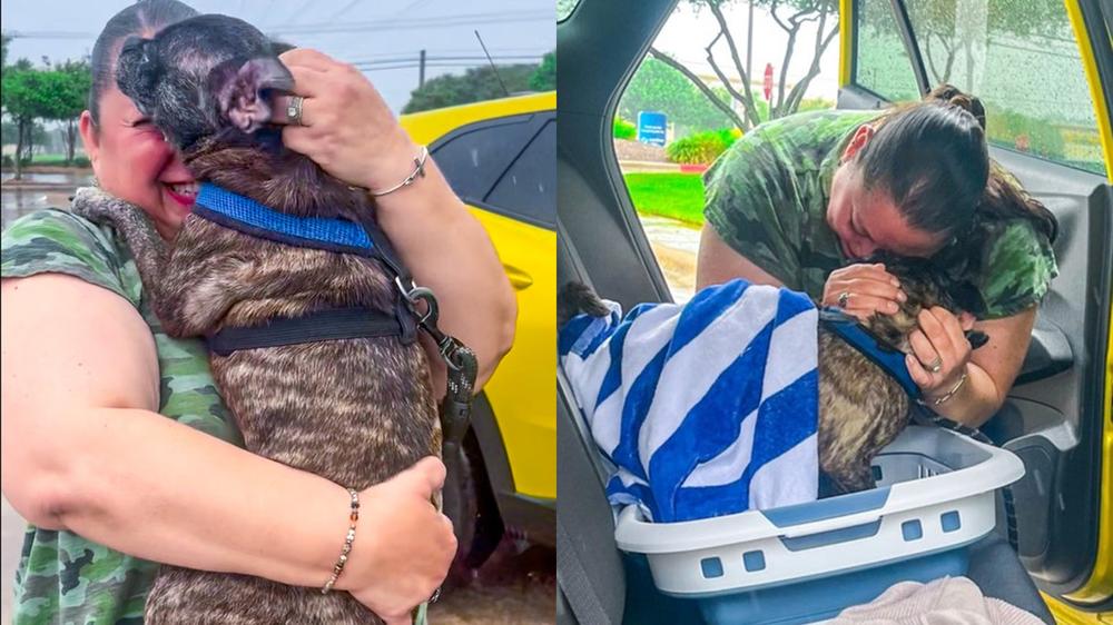 Family reunites with dog 8 years after it went missing in a hurricane