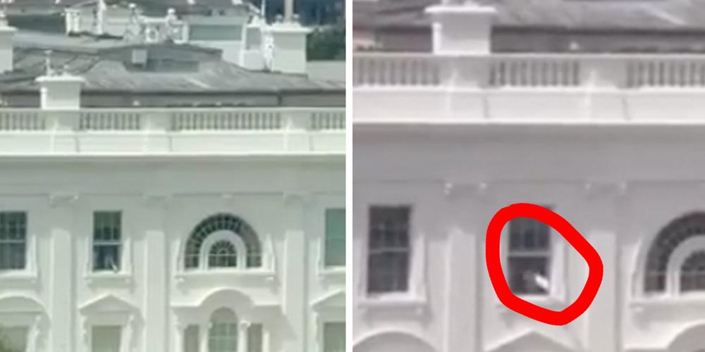 White House explains baffling clip of figure throwing items out of building’s window