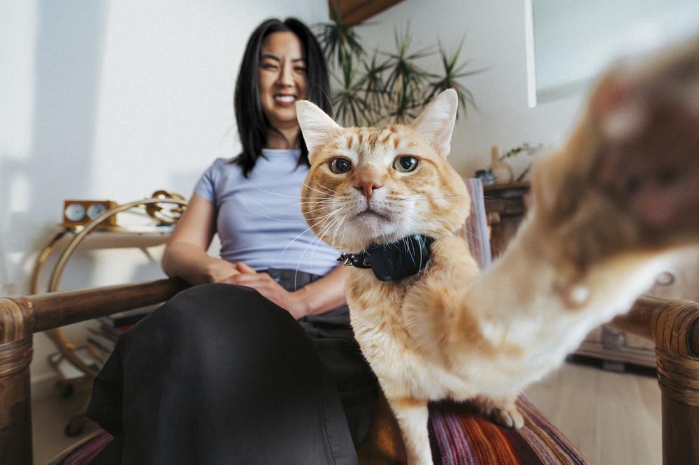The new Fi Mini pet tracker has GPS, and it’s barely bigger than an AirTag
