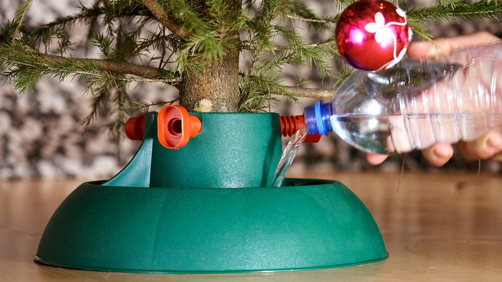How To Keep Your Christmas Tree Fresh