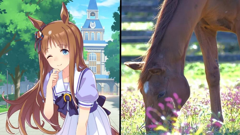 Legendary racehorse & Umamusume icon Grass Wonder dies at 30