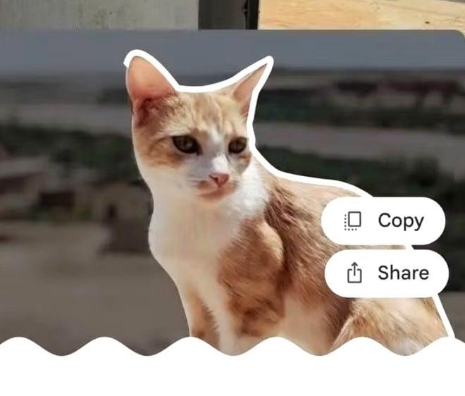 Google Foto ora permette di creare adesivi in pochi tocchi, ma solo su iOS