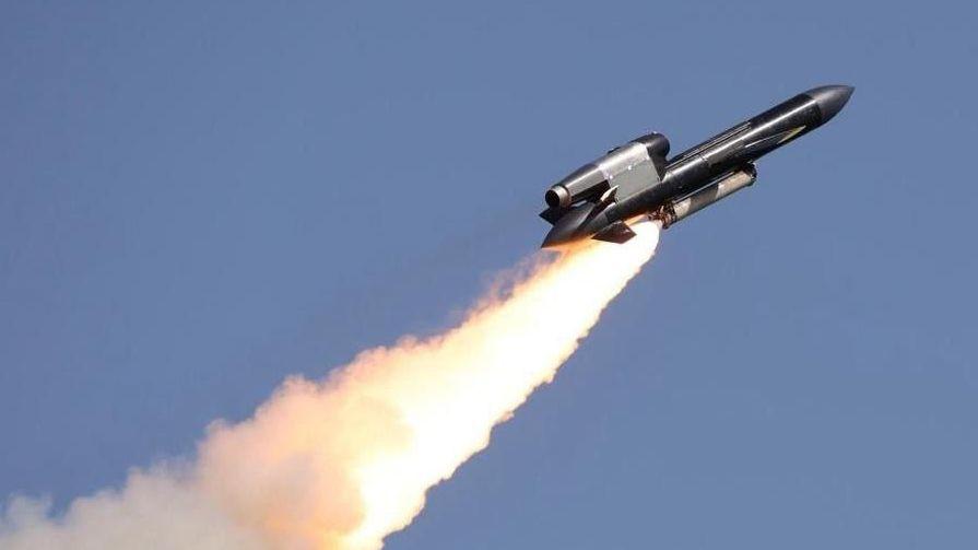 Czech foundation drops Flamingo missile donation amid corruption probes