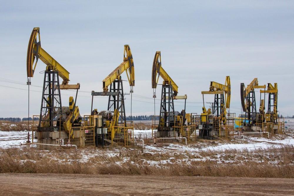 Russian oil exports down from last year, Bloomberg reports