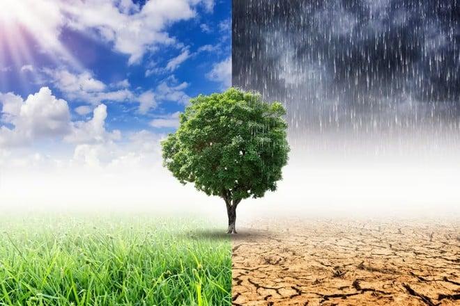 Clima estremo: la maggior parte delle aziende ne sta già subendo l'impatto