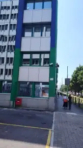 Greenpainting