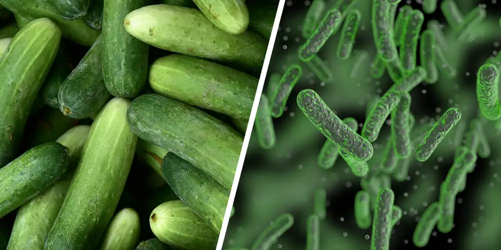 Cucumber recall: Here’s what you need to know