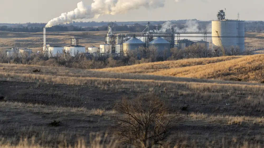 Biofuels policy has been a failure for the climate, new report claims