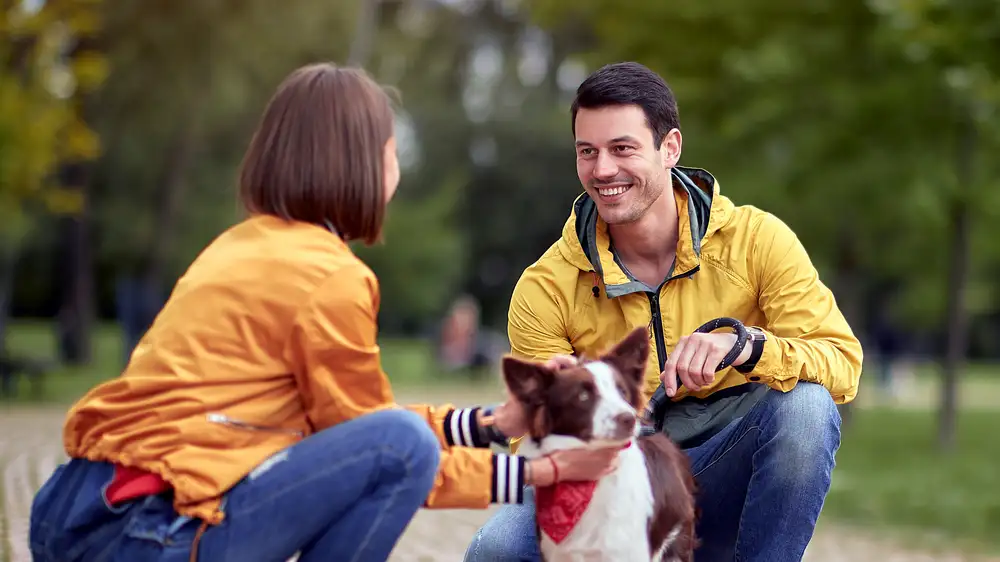 Owner Gives Detailed Preamble For Why Dog Named Mr. Dog