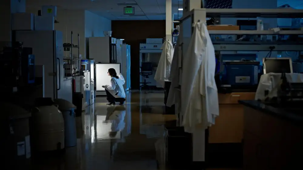 Science PhDs face a challenging and uncertain future