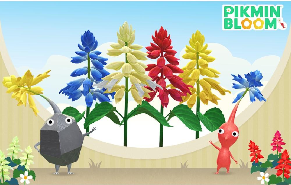 Pikmin Bloom, tutte le novità in arrivo a novembre 2025!