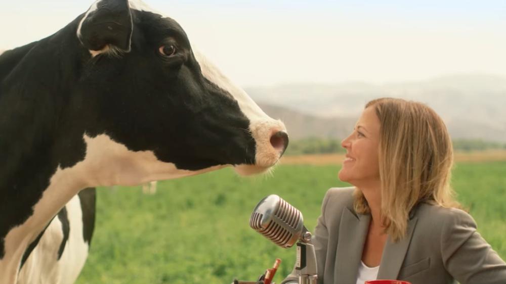 New Zealand farmer accidentally created Tinder dating app for cows