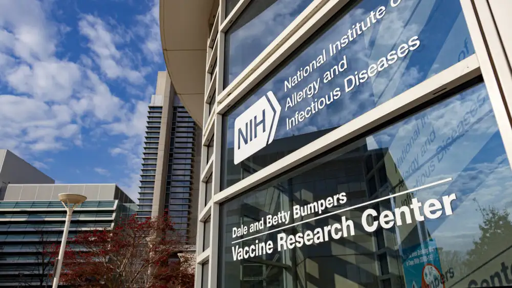 Judge slams NIH grant cuts as racist, “appalling”; White House attacks judge