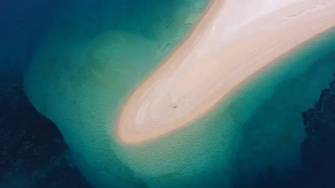 Oceani sempre più scuri, un pericolo per la vita marina