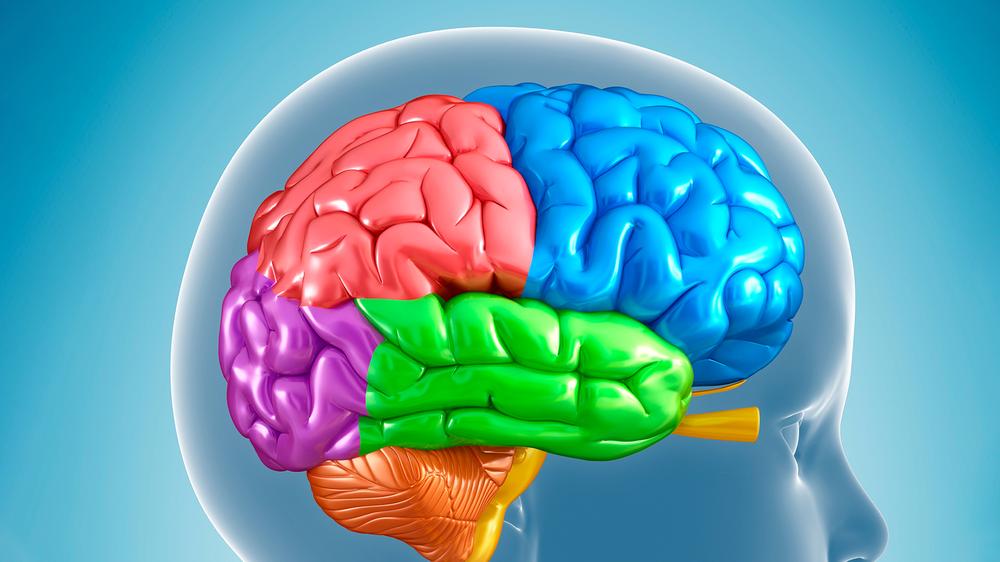 How Screen Time Affects Childhood Brain Development