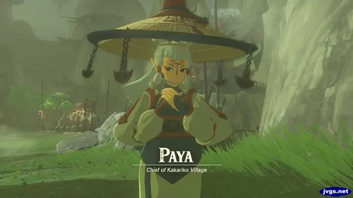 Legend of Zelda: Tears of the Kingdom Review
