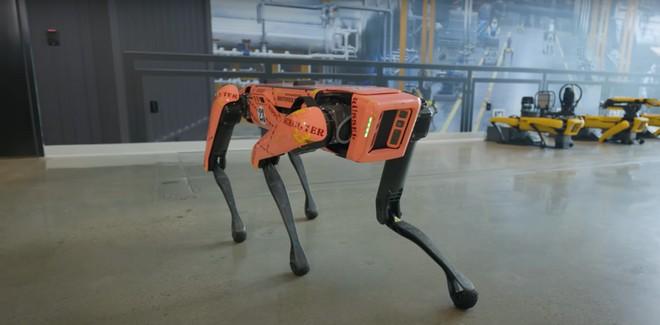 Il cane robot di Boston Dynamics fa ora i salti mortali | VIDEO
