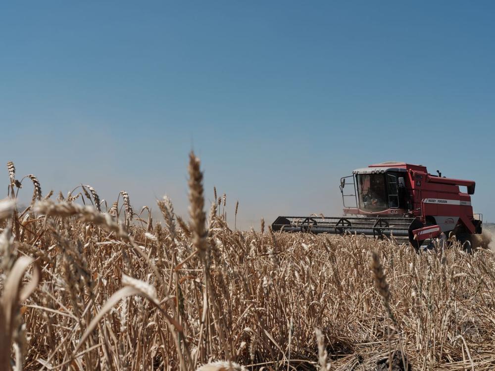 Ukraine must meet EU agricultural standards by 2028, says minister