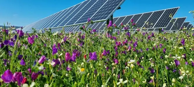 Agrivoltaico, un aiuto per i pascoli delle zone con maggiore siccità