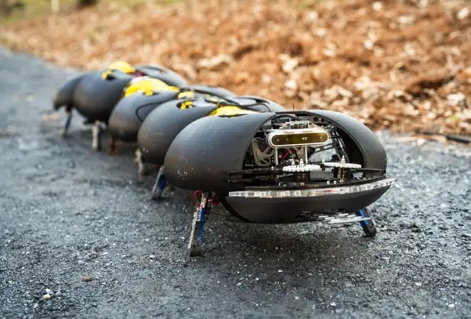 Robot ispirati ai millepiedi: combatteranno le erbacce nei vigneti | Video