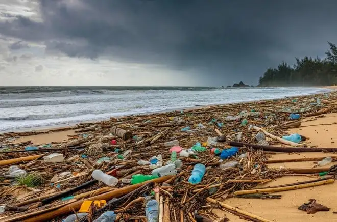Paracetamolo dalle bottiglie in plastica, un batterio può produrlo in 24 ore