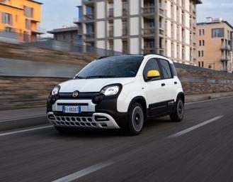 È ufficiale: addio al nome Panda. Ora si chiama Pandina