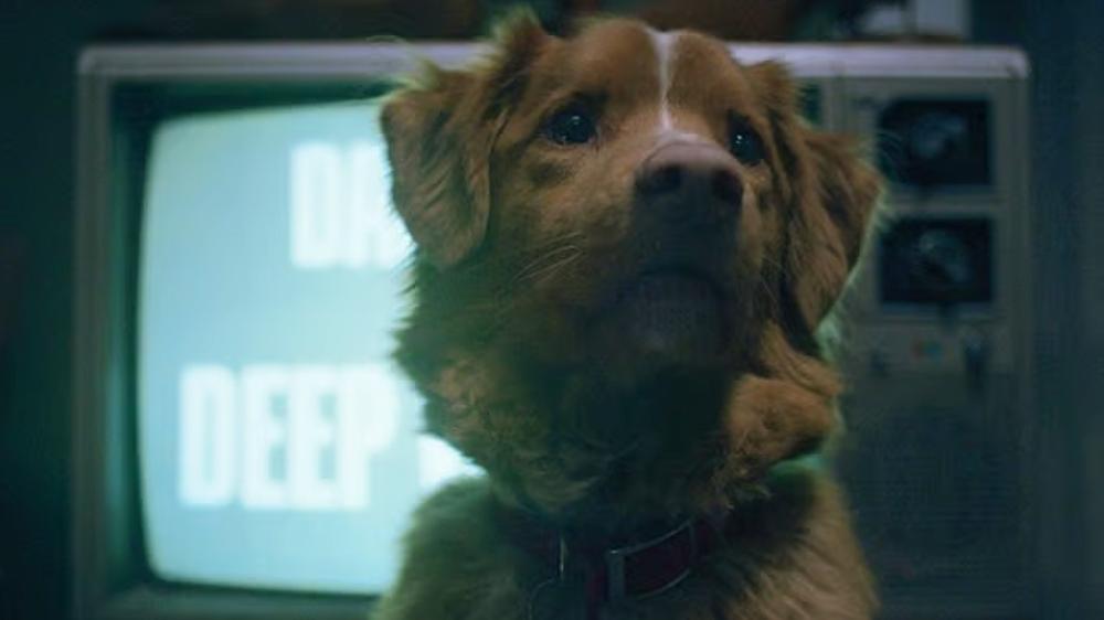 Good Boy will be available on this streaming platform first