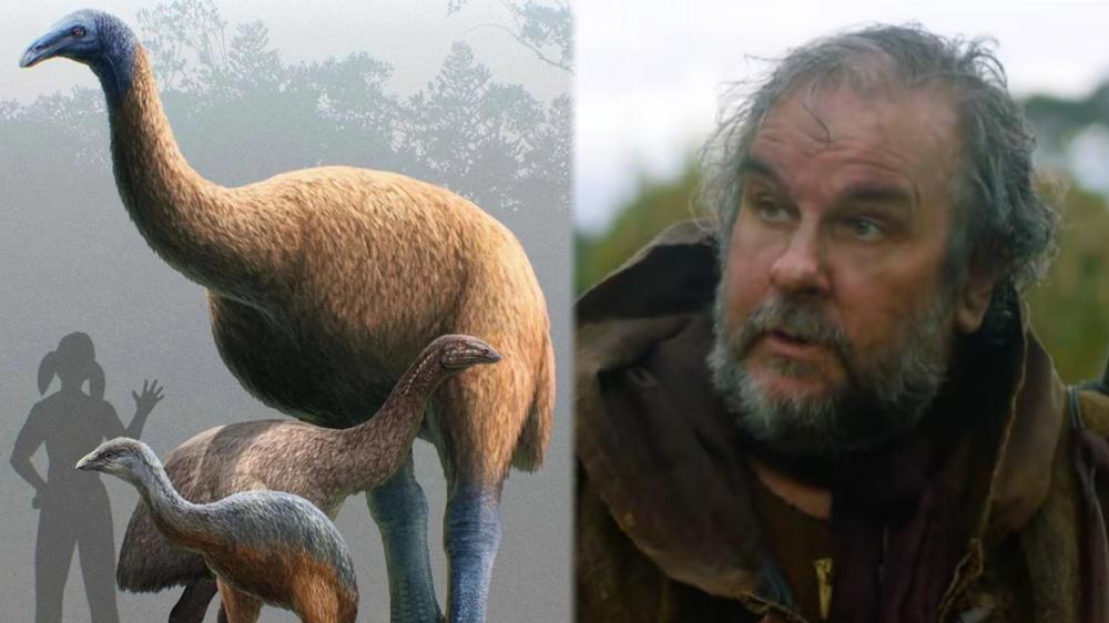 Lord of the Rings Director is trying to bring back enormous bird extinct for 600 years