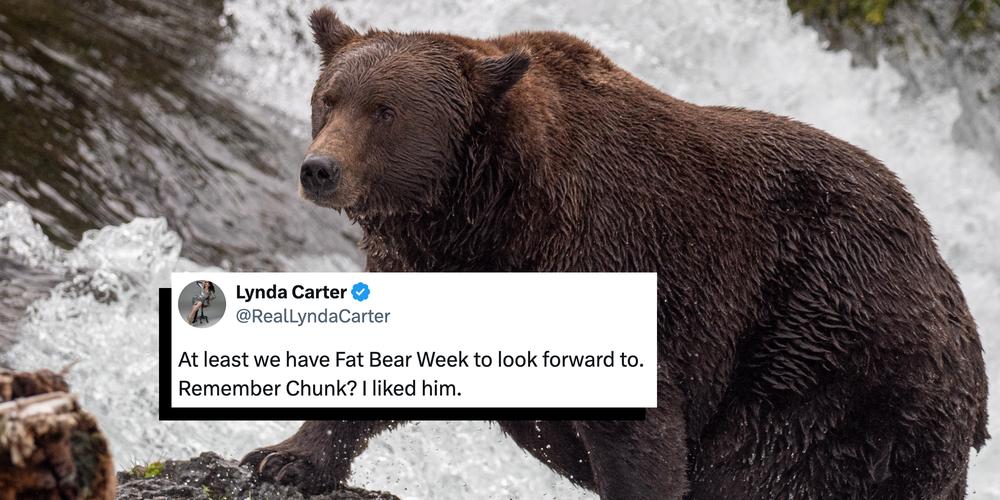 It’s “Fat Bear Week”—what to know about the social media holiday