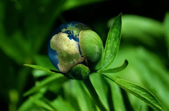 Giornata Mondiale dell’Ambiente, Italia in ritardo sulla transizione ecologica