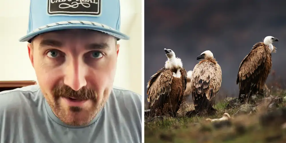 “Bunch of vultures”: Kitchen staff eats steak after customer says they don’t want it. Then they find out why