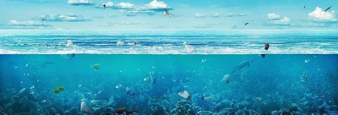 Studentessa 14enne inventa un idrogel che elimina le microplastiche nell'acqua
