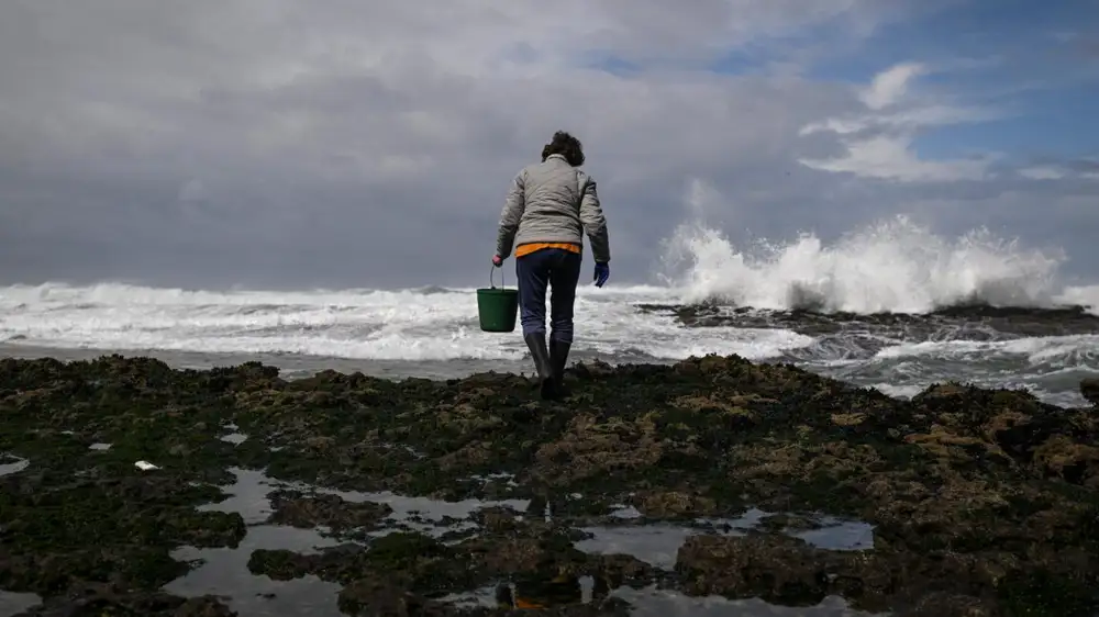 Ocean acidification crosses “planetary boundaries”