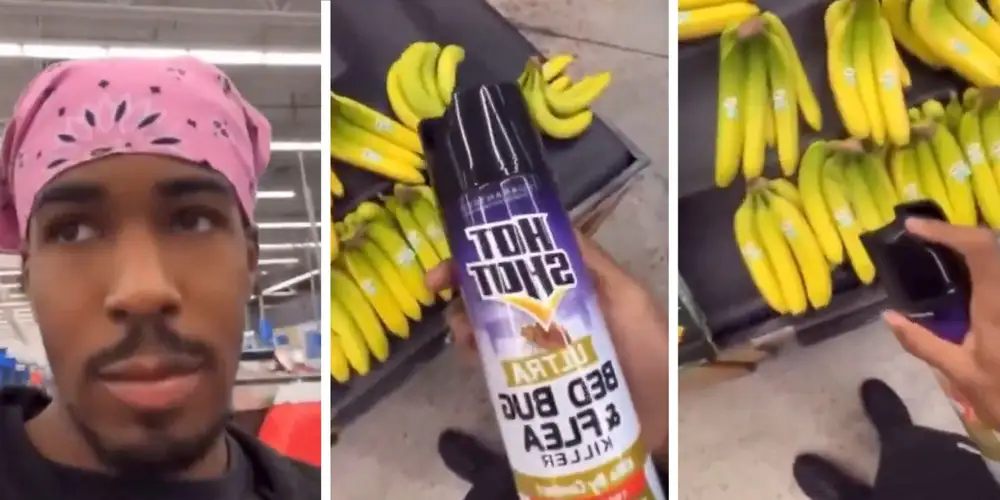 Influencer sentenced to a year in prison for spraying Walmart produce with insecticide as a “prank”