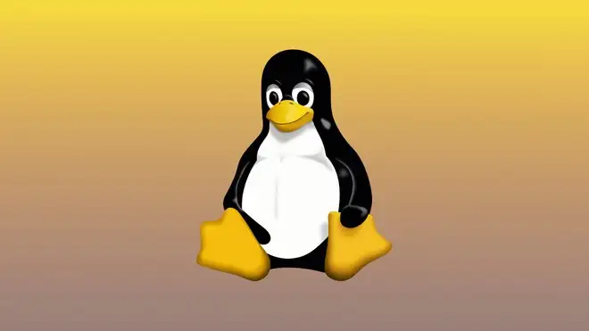 Linux 6.15 è disponibile: ecco tutte le novità dell'ultimo kernel