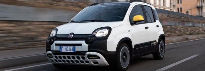 Ufficiale, FIAT Panda diventa Pandina: la gamma della city car si rinnova, ecco cosa cambia