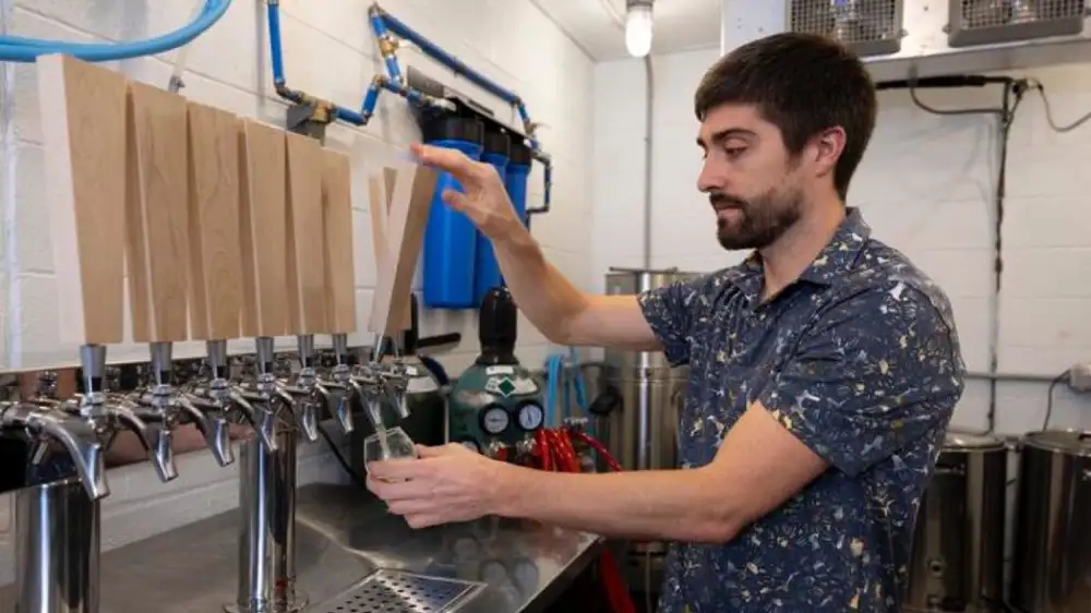 Rice could be key to brewing better non-alcoholic beer