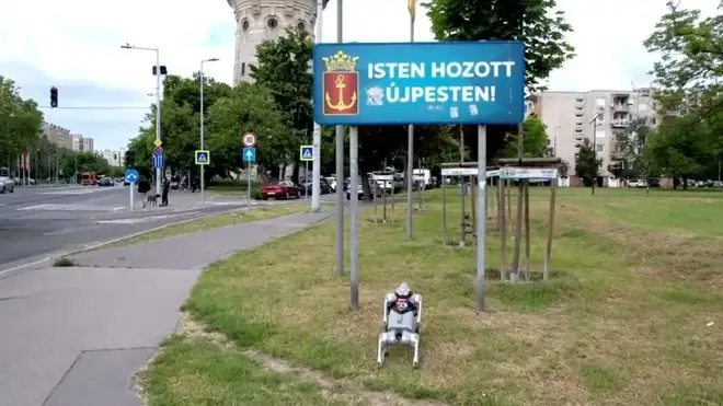 Cane robot  insegna ai bambini a rispettare gli animali: accade in Ungheria
