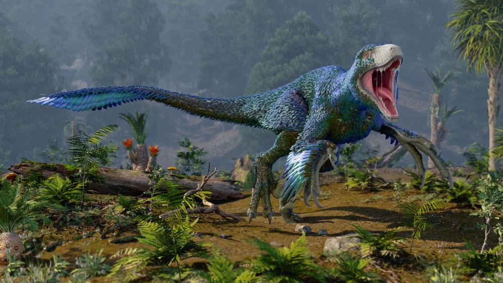 Dinosaurs may have flourished right up to when the asteroid hit