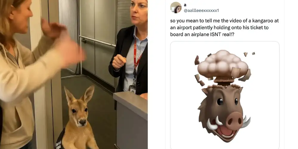 No, the “emotional support kangaroo” holding a boarding pass isn’t real—but thousands thought it was