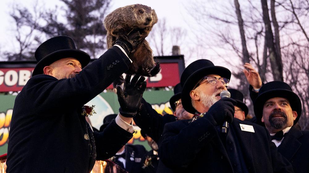 Groundhog Harassed By Dipshits In Stupid Hats