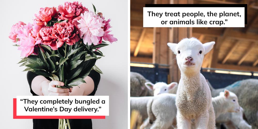 21 times customers boycotted a business—and why they did it