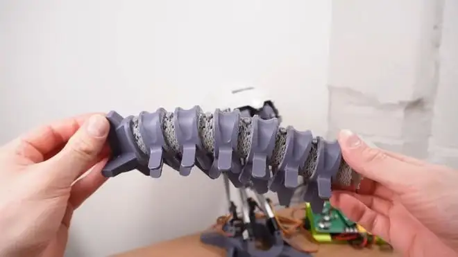 Collo robotico ispirato all’uomo: la spina dorsale diventa meccatronica | Video