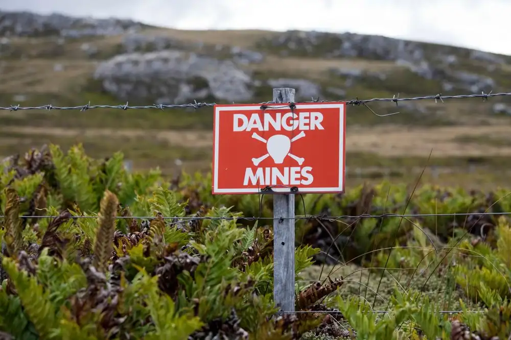 Fieldstone Bio is building microbes that can sense everything from TNT to arsenic