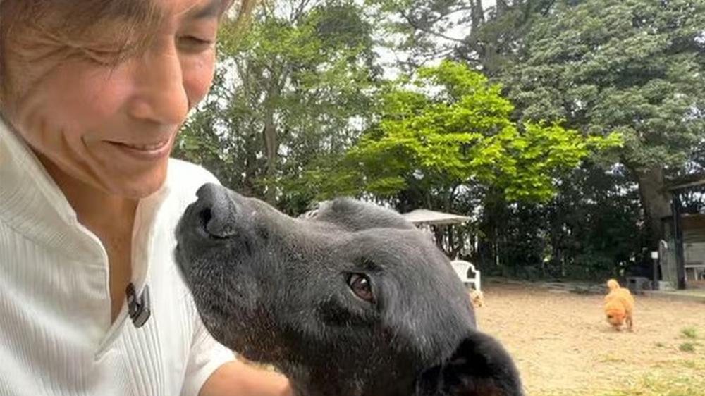 Japanese man sells Ferrari to fund shelter for dogs after one saved his life